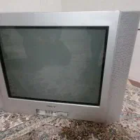 تلویزیون