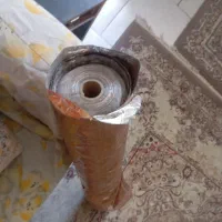 کاغذ دیواری بیا ببر