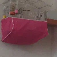 ساعت هوشمند