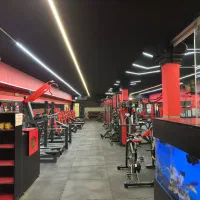 باشگاه آقایان آرکو باقیمت پارسال