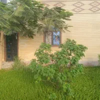 سوییت
