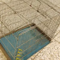 قفس پرنده