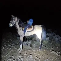 نریان درج 1