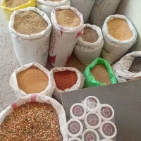 دانه پرنده(عمده و خورده)