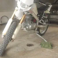 تریل آمیکو