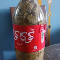 برگ انگور