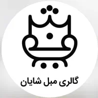 راننده در مبل شایان