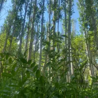 کمپ و‌طبیعت گردی