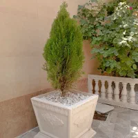 گلدان بتنی سیمانی پلیمری