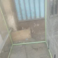 قفس کبوتر