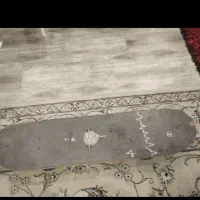 اسکیت برد
