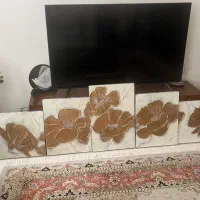 قاب پنج تیکه رزین