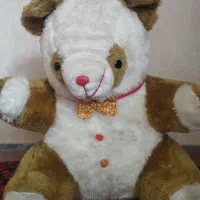 خرس پاندا