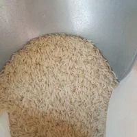 برنج هاشمی تک محصول