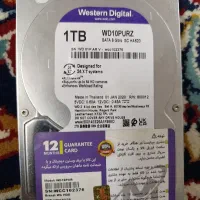 هارد۱ترا وسترن بنفش
