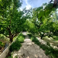 باغچه-600متری-سنددار-کردزار