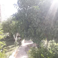 آبیاری باغچه