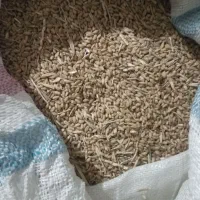 گندم|خوردنی و آشامیدنی|پیشوا, |دیوار