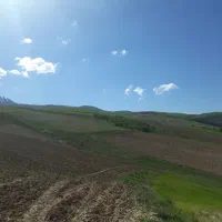 زمین-200متری-بر-اصلی-شهید-عزیزی