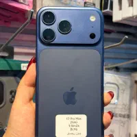 17 Pro Max