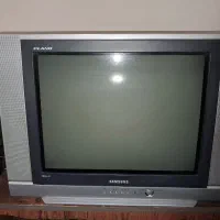 تلویزیون