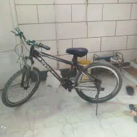 دوچرخه 26 ویوا