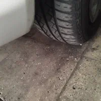 یک جفت لاستیک بارز