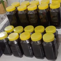 سیر هفت ساله