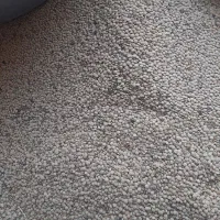 مواد غذایی
