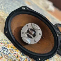 باند پایونر