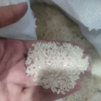 برنج کامفیروزی درجه یک به شرط پخت