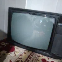 تلویزیون