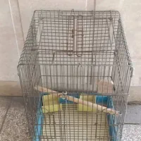 قفس بزرگ پرنده