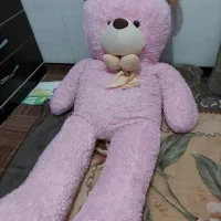 خرس فروشی