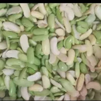 باقالی سبزوتازه نیم کیلو۲۵۰