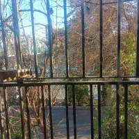 چهار طبقه ۱۴۰متر یکجا بر اصلی