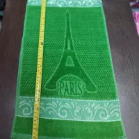 حول طرح پاریس