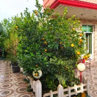 فروش ویلا باغ 1100مترخالص بنجعفر
