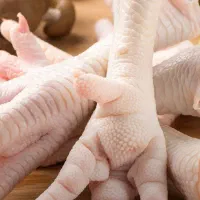 پای مرغ تازه پاک شده ران و سینه مرغ