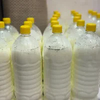 فروش عمده دوغ محلی با طعم موسیر