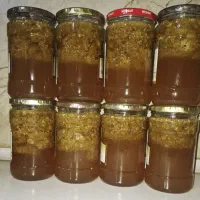 عسل وحشی کوه به شرت خالص