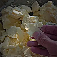 همکار در فروشگاه لبنیات