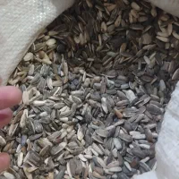 تخمه|خوردنی و آشامیدنی|سبزوار, قصبه شرقی|دیوار