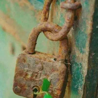 وانت بار