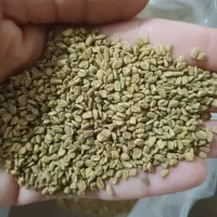 شنبلیله تمیزوپاک