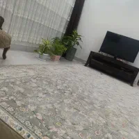 2عدد فرش 12متری  1200شانه