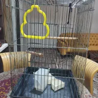 قفس پرنده