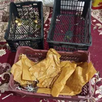 فروش انواع سبد میوه