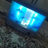 چراغ خواب
