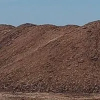 کود بلدرچین